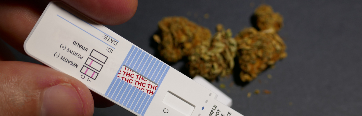 Marijuana Drug Test, THC Drug Test